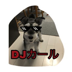 koko_20200920183935
