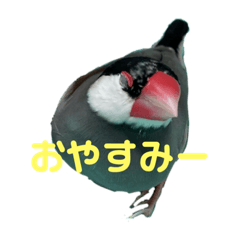 koumaru_20200920184338