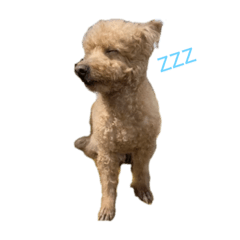 kazuki_20200920211333