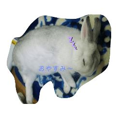 tomomi_20200920202747