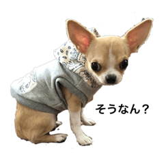 takashi_20200920223103