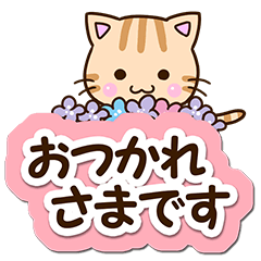 Cute Tiger cat (Polite words)