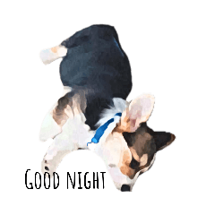 melon_20200920191943