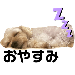 SAORI_20200921001100