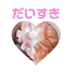 natsumi_20200920232447