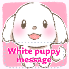 하얀 강아지의 메시지 스탬프