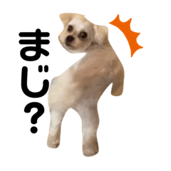 SAORI_20200921084529