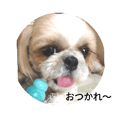 Peace_20200921092517