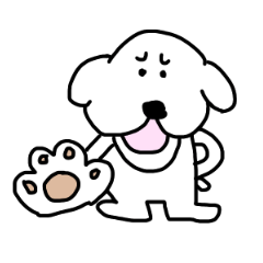Toy poodle Moco-chamaru 2