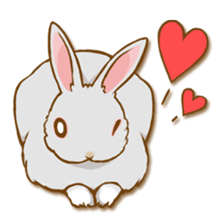My rabbit Chiyoko