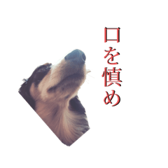 yun_20200921035110