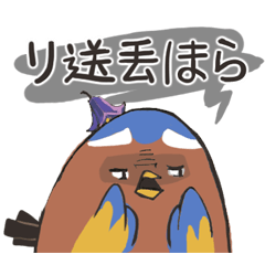 Mountain bird-Taiwan Laughing Thrush