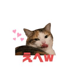 nekosanshimai_20200921105143