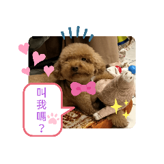 小公主 feat.靈胖遲瘦