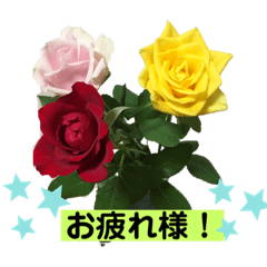 hana_20200921120740