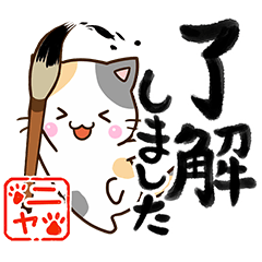 Cute Calico cat 3