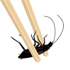Cockroach moving 3 (English)