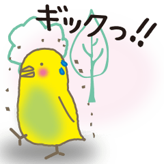 The Parakeet Animated Stickers