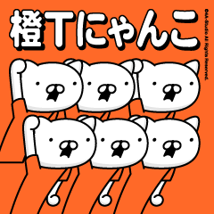 Orange T cat (every day)