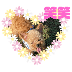 YUKARI_20200921154959