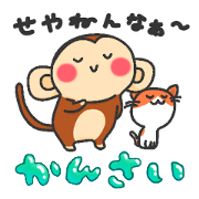 monkey&cat