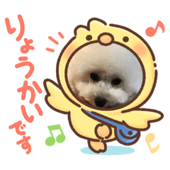 akiko_20200921173245