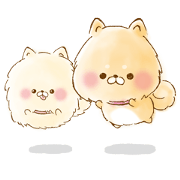 POME SHIBA