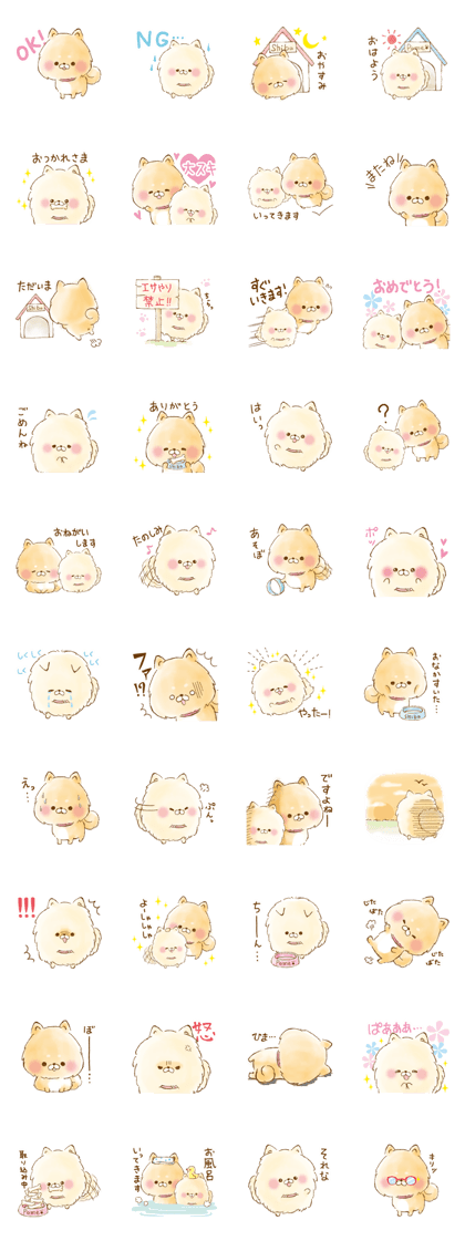 POME SHIBA