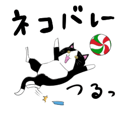 Cat and volleyball