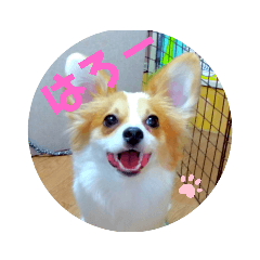 chiro_20200921200502