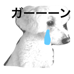 mizuki_20200921212516