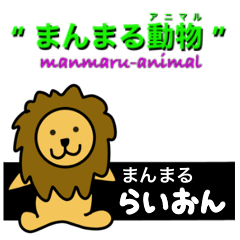 Mammaru animal lion.