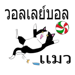 Cat  volleyball