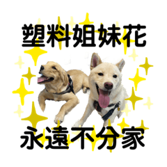 BuBu生活-第六季