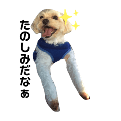 SAORI_20200922131031