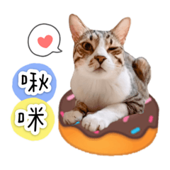 邱家鏘寶貝