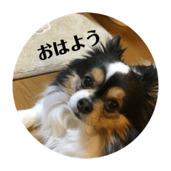 kazuki_20200922141245