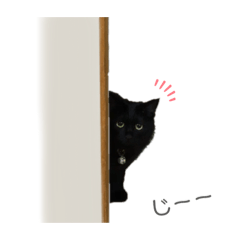 saori_20200922013436