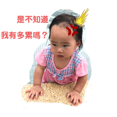 奶茶蛋❣️做怪