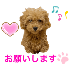 Hikari_20200922131329