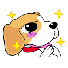 Various Beagle dog
