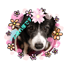 ayumi_20200922155958