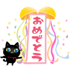 A kitten of a black cat5