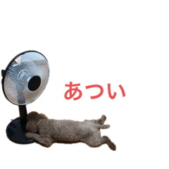 yokko_20200922173045