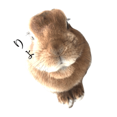 kayo_20200922121645