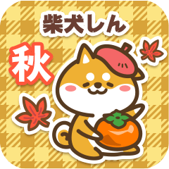 Shiba Shin in Autumn 2