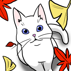 Cat is full of expression in autumn