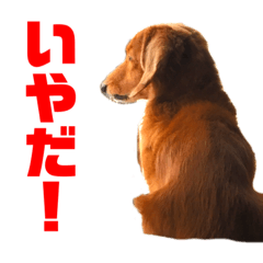 Kaito_20200922204333