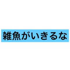 RINGO_20200923012031