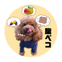 yun_20200923083937